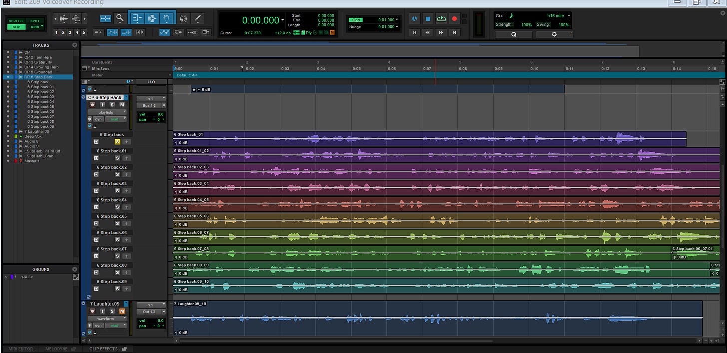 Screenshot of a Pro Tools session demonstrating playlist feature for an ADR assignment. Screenshot of a Pro Tools session demonstrating playlist feature for an ADR assignment.