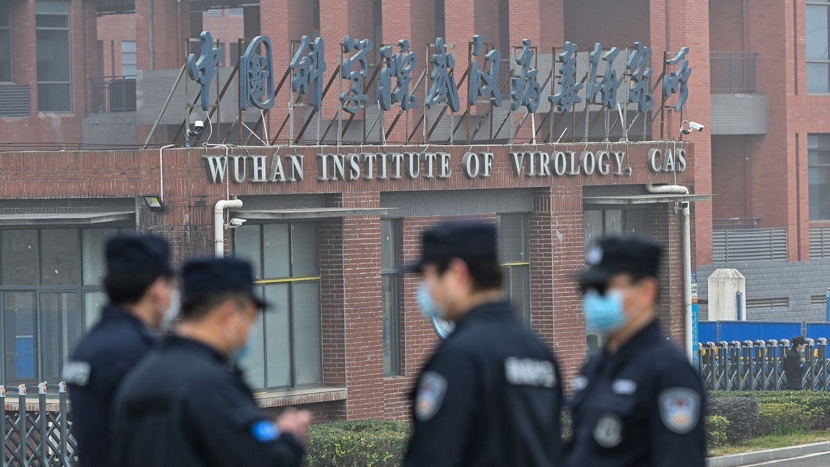 Wuhan_gain_function