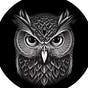 Intel Night OWL 🦉🇺🇸's avatar