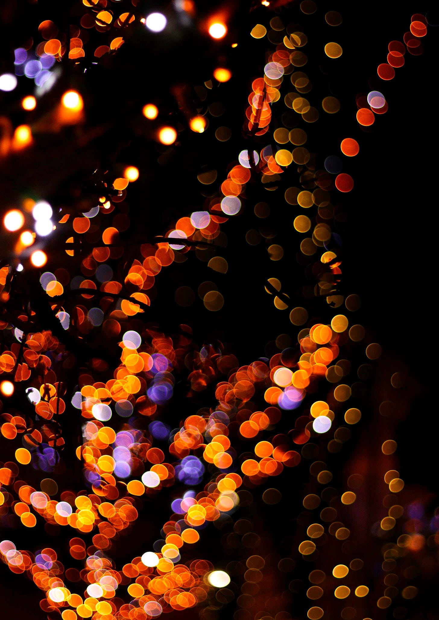 a blurry photo of a tree with lights on it
