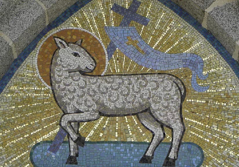 a lamb icon