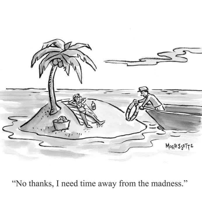 May be a graphic of text that says 'Monal MORMISSETTE "No thanks, I need time away from the madness."' May be a graphic of text that says 'Monal MORMISSETTE "No thanks, I need time away from the madness."'