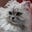 Joanne Gatsis's avatar