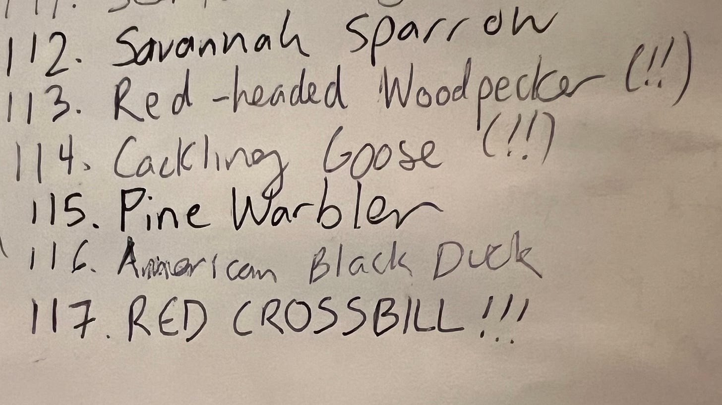 a list of the birds from my house, handwrittein on a sheet of paper. it reads "112. savannah sparrow. 113. red-headed woodpecker(!!) 114. cackling goose (!!) 115. Pine Warbler 116. American Black Duck 117. RED CROSSBILL!!!" a list of the birds from my house, handwrittein on a sheet of paper. it reads "112. savannah sparrow. 113. red-headed woodpecker(!!) 114. cackling goose (!!) 115. Pine Warbler 116. American Black Duck 117. RED CROSSBILL!!!"