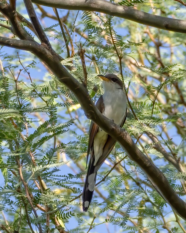 20250730-Sweetwater-116-Edit-Edit.jpg 20250730-Sweetwater-116-Edit-Edit.jpg