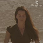 평범한 요가 강사가 어떻게 아프리카와 중동 무장단체에 무기를 공급하는 CIA 부서의 책임자가 될 수 있었을까?