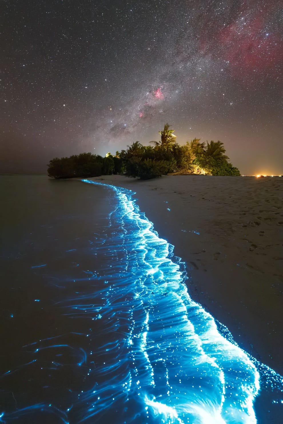 The Nature Photography Contest Winners 28