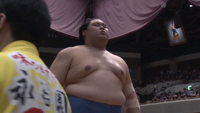 www.sumo-stomp.com