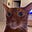 Rodney's avatar