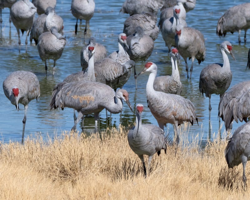 20250128-Willcox-1254-Edit.jpg 20250128-Willcox-1254-Edit.jpg