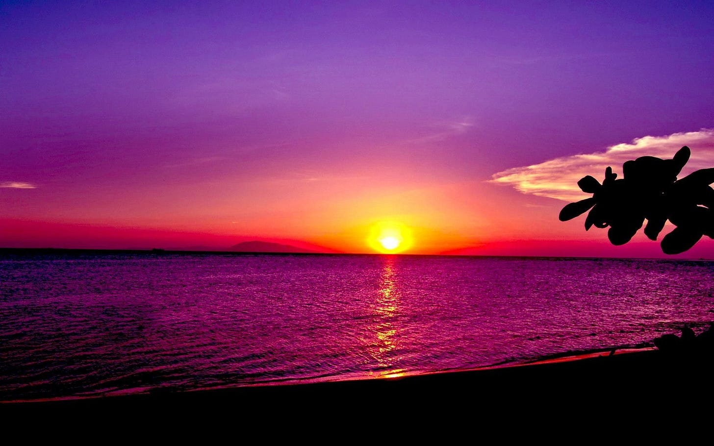 Beautiful Sunset Wallpapers - Top Free Beautiful Sunset Backgrounds -  WallpaperAccess