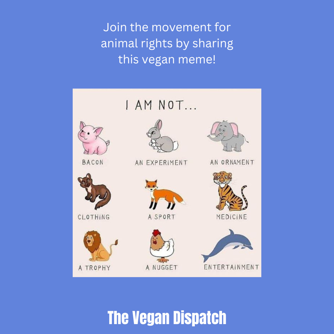 I am not bacon. I am not a sweater. I am not a handbag. I am not a test subject. I am not a circus act. I am not a trophy. I am not entertainment. I am not bacon. I am not a sweater. I am not a handbag. I am not a test subject. I am not a circus act. I am not a trophy. I am not entertainment.
