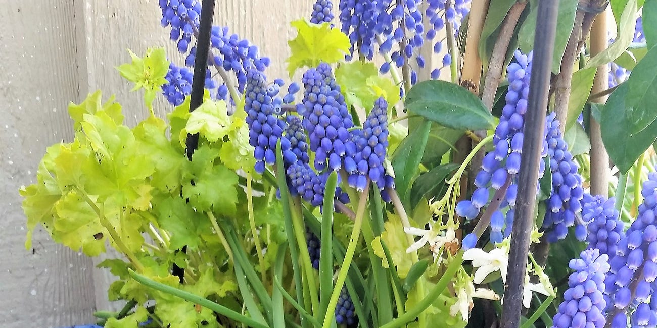 Spring Planter Ideas for You