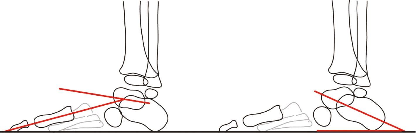 jposna20220038_fig15.jpg