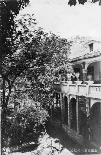 A tree next to a building
AI-generated content may be incorrect. A tree next to a building
AI-generated content may be incorrect.