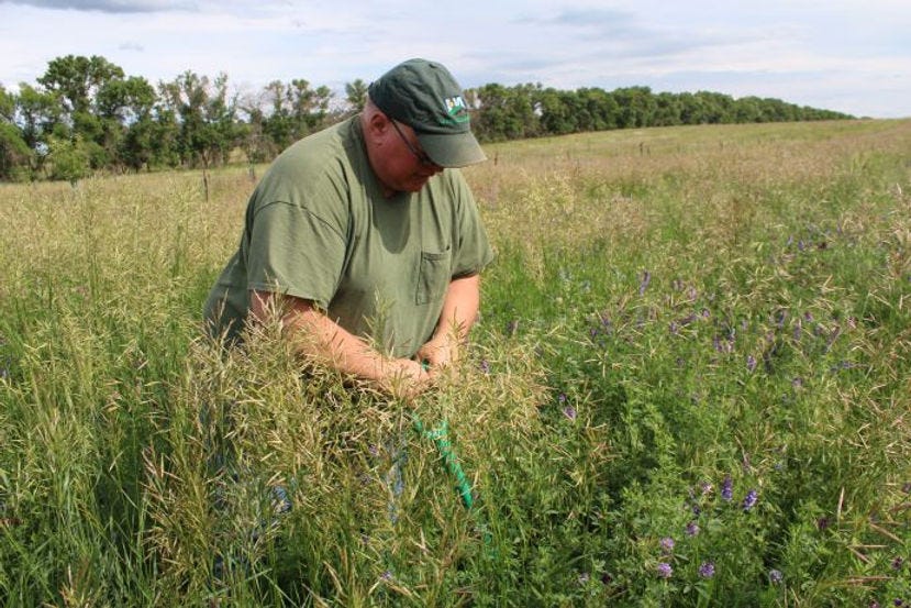 Gabe Brown in field
