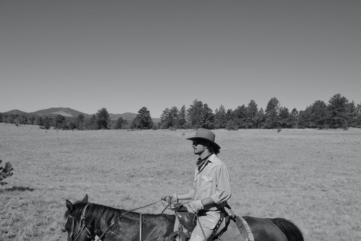 Martin Brodsky riding a horse