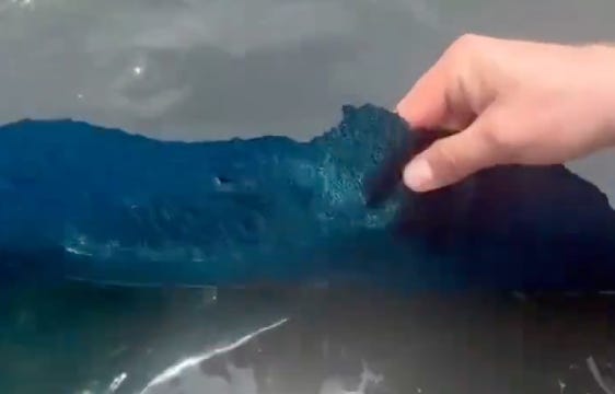 Algae-Antifa: Trump Invented a 250-Foot Knife Gash, Arrested a 67-Year-Old Olympian, and Blamed Vandals for His Iran Green Reflecting Pool Disaster