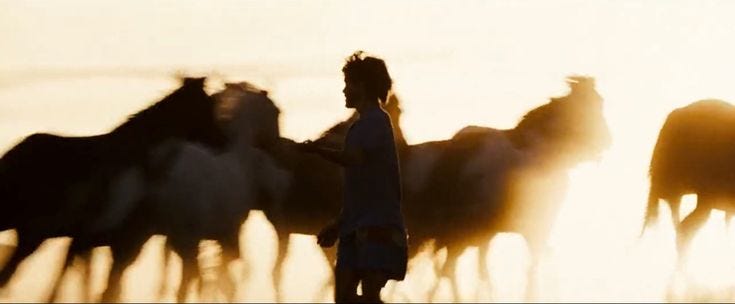 This may contain: a man standing in front of a herd of horses with the sun shining behind him