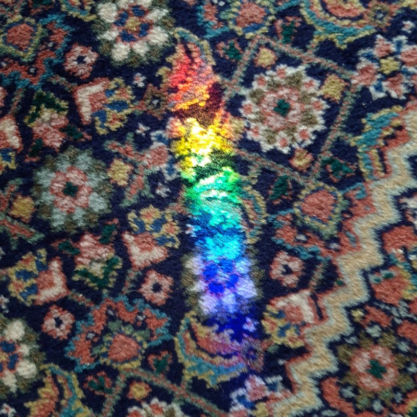 Dorothea’s Substack