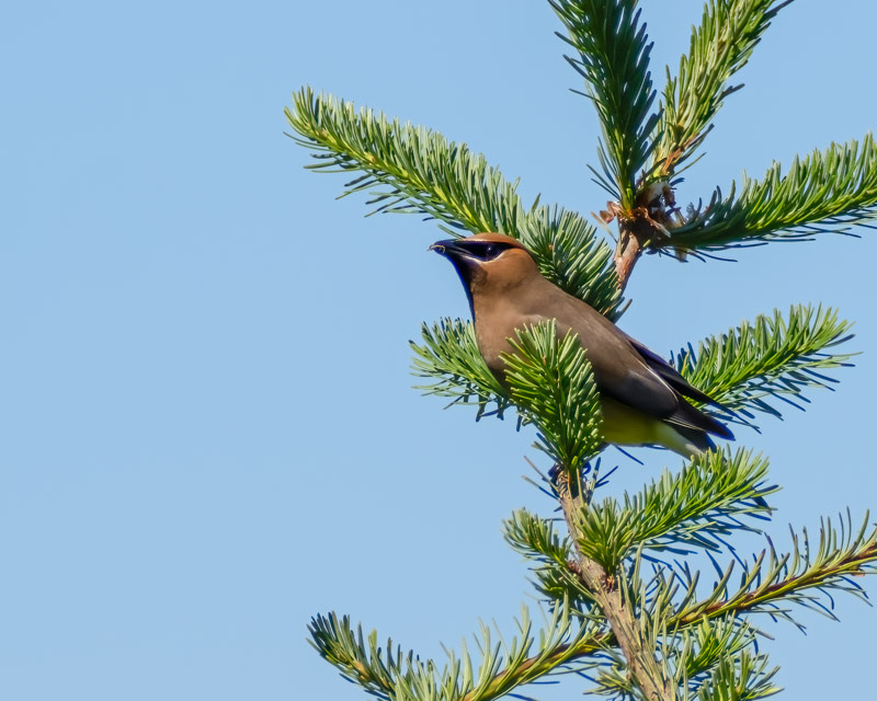 20250610-SJI3-493-Edit.jpg 20250610-SJI3-493-Edit.jpg