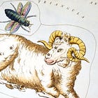 Creative Prompts for Aries Season