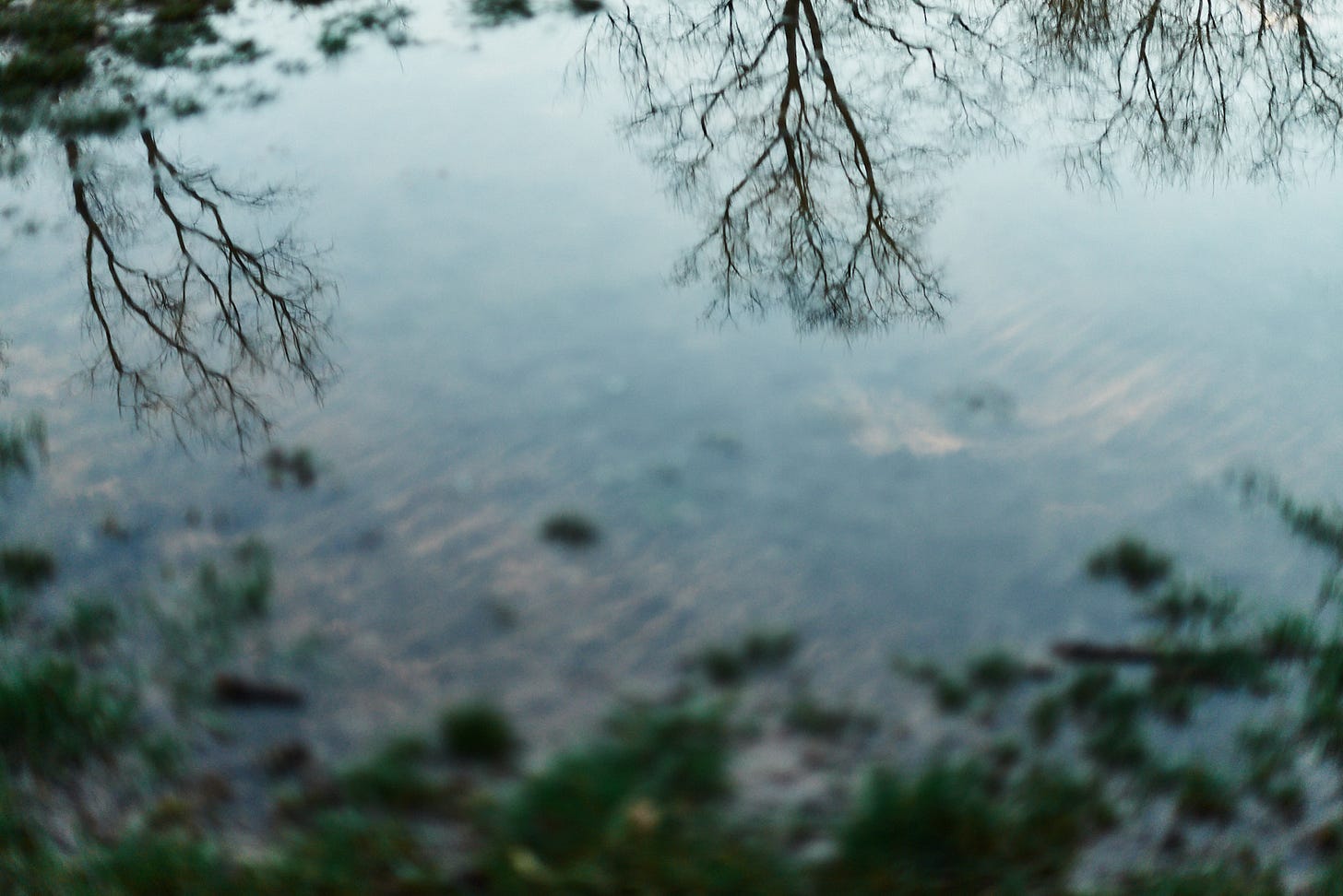 Sample photo made with 50mm f/1.4 Nikkor G