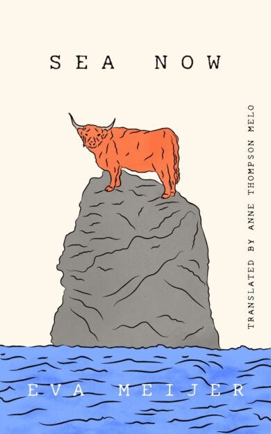 Sea Now Cover Sea Now Cover