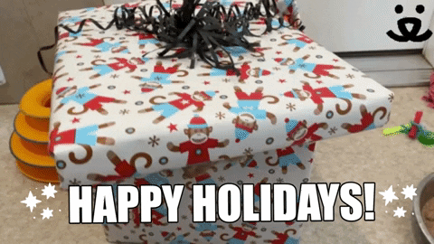 Cat Christmas GIF by Best Friends Animal Society
