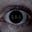 S.E.L DAWSON's avatar