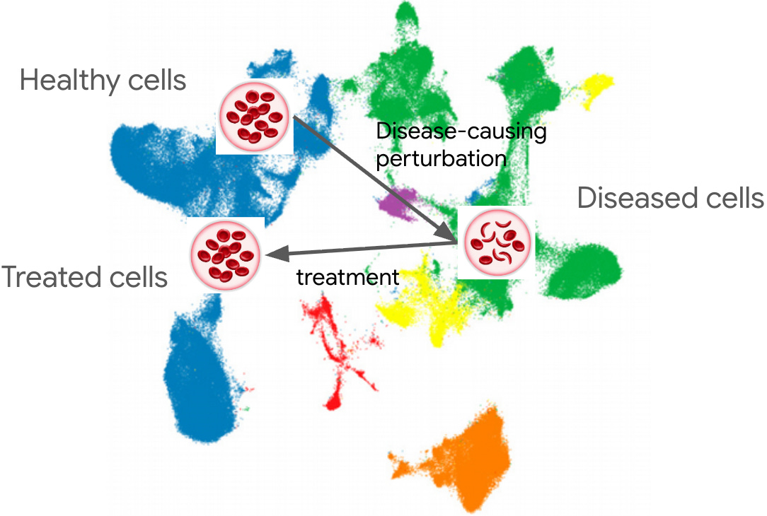 The "map" between disease perturbation and treatment in transcriptomics The "map" between disease perturbation and treatment in transcriptomics