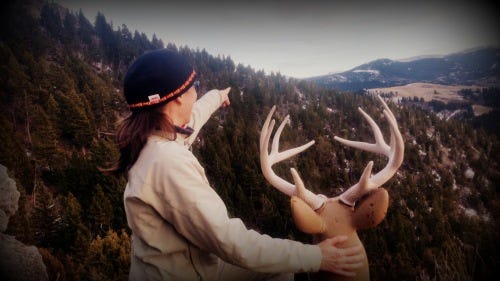 Lucy and Buck Lucy and Buck