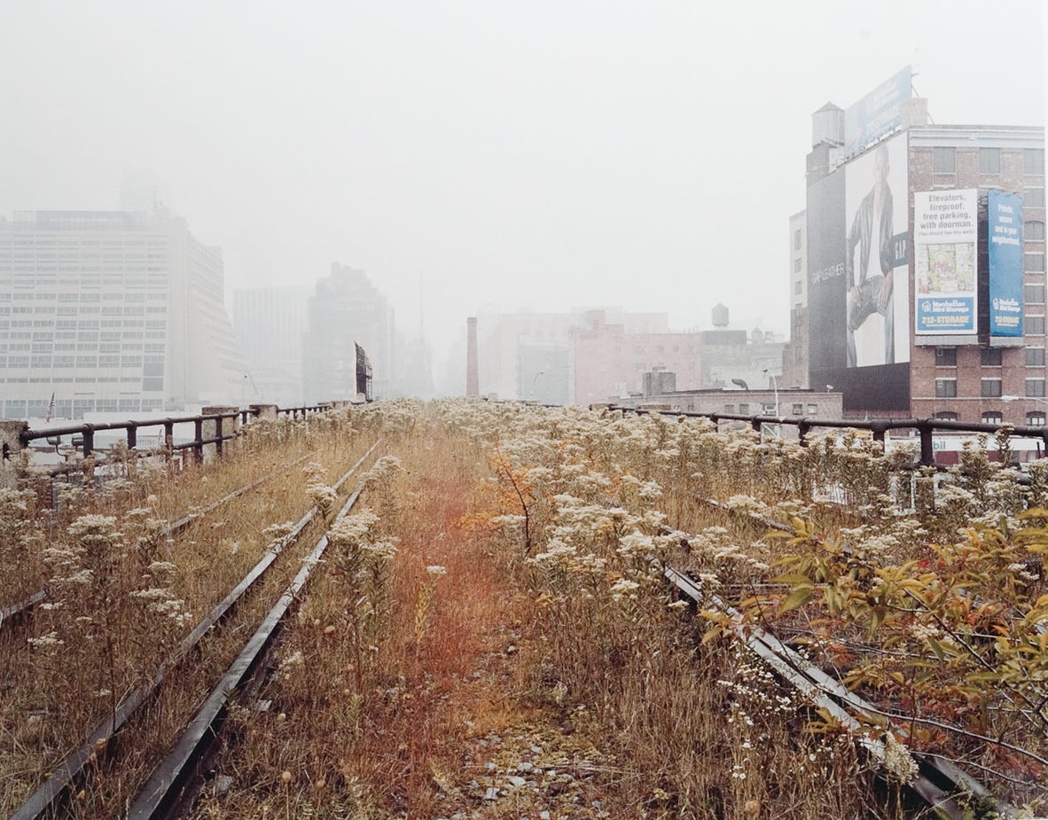 The Fertile Sections of Lower Manhattan (no it's not a Sonic Youth