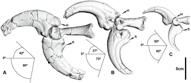 An external file that holds a picture, illustration, etc.
Object name is pone.0137709.g008.jpg