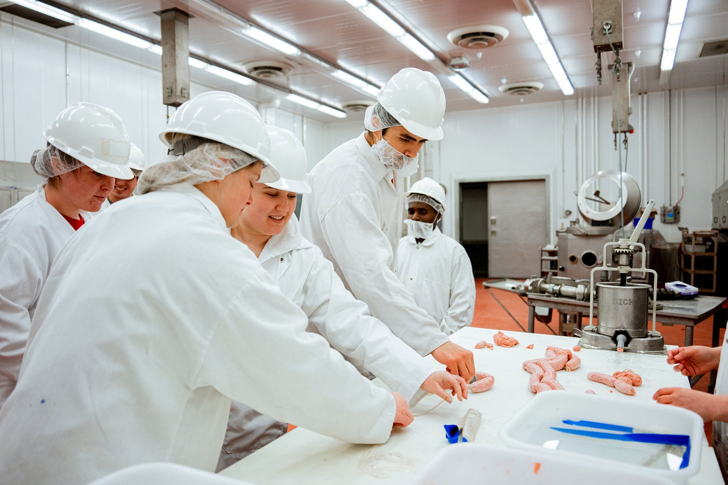 https://news.unl.edu/sites/default/files/media/images/20250520-meatprocessing.jpg