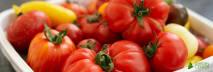Hundred Tomatoes 