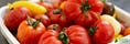 Hundred Tomatoes 