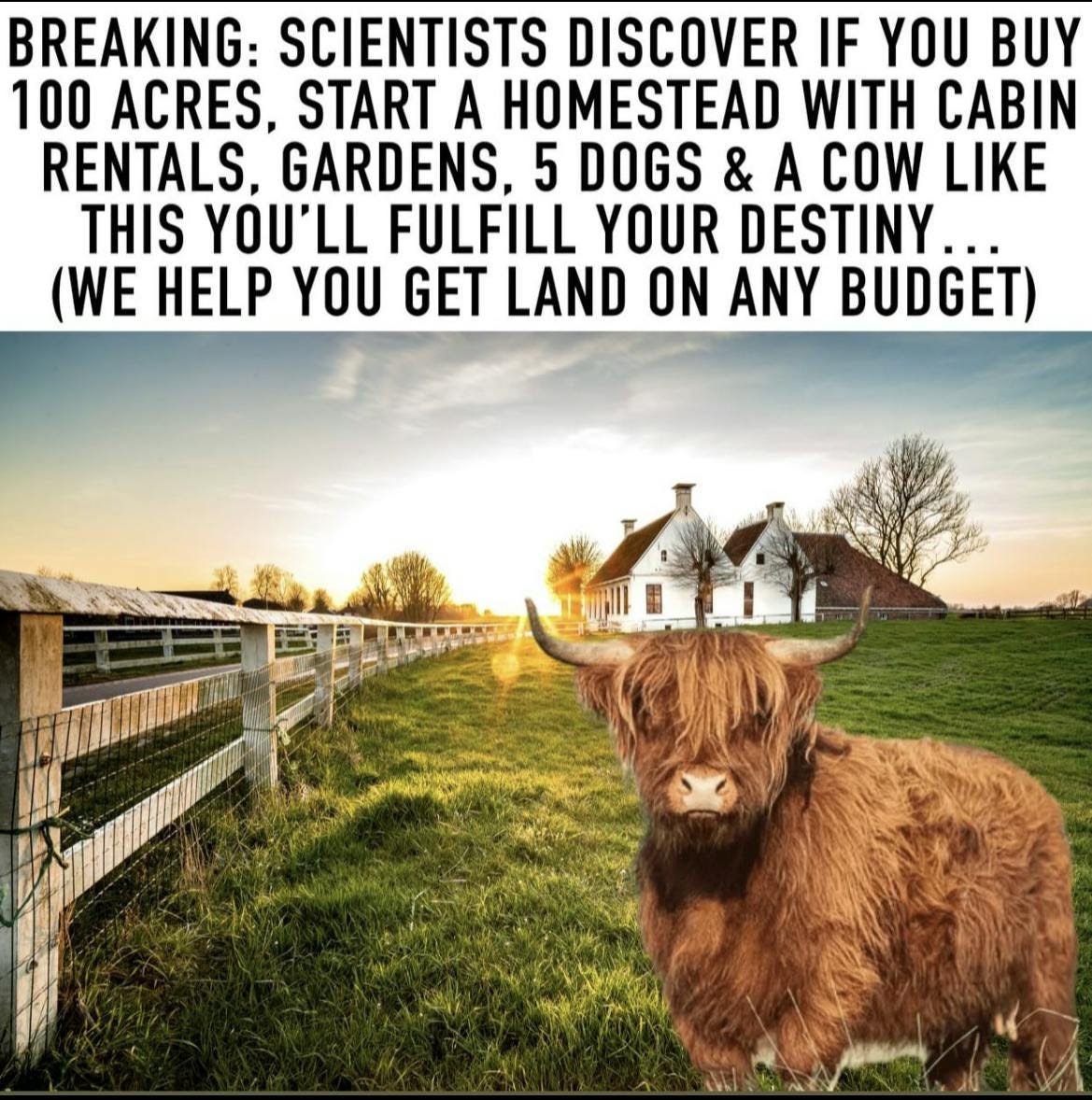 038: In Search of Freedom, or Free from Searching? 038: In Search of Freedom, or Free from Searching?