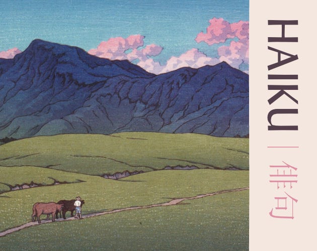 Sample images of "Haiku's" interior spreads from the pdf.