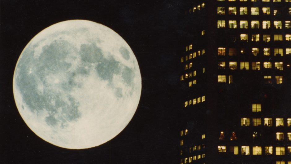An illuminated full moon fills the left half of the frame while the an array of lit windows on a tall building fill the other. Both contrast against the black night sky.