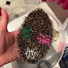 🦔 Nina, la piccola che mi ha fatto dubitare