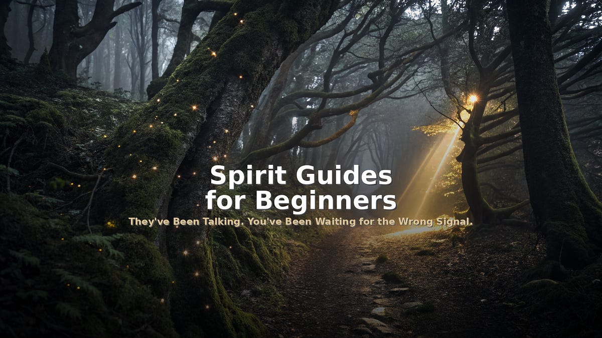 Dfb Guide Voice Spirit Guides for Beginners: They've Been Talking All Along