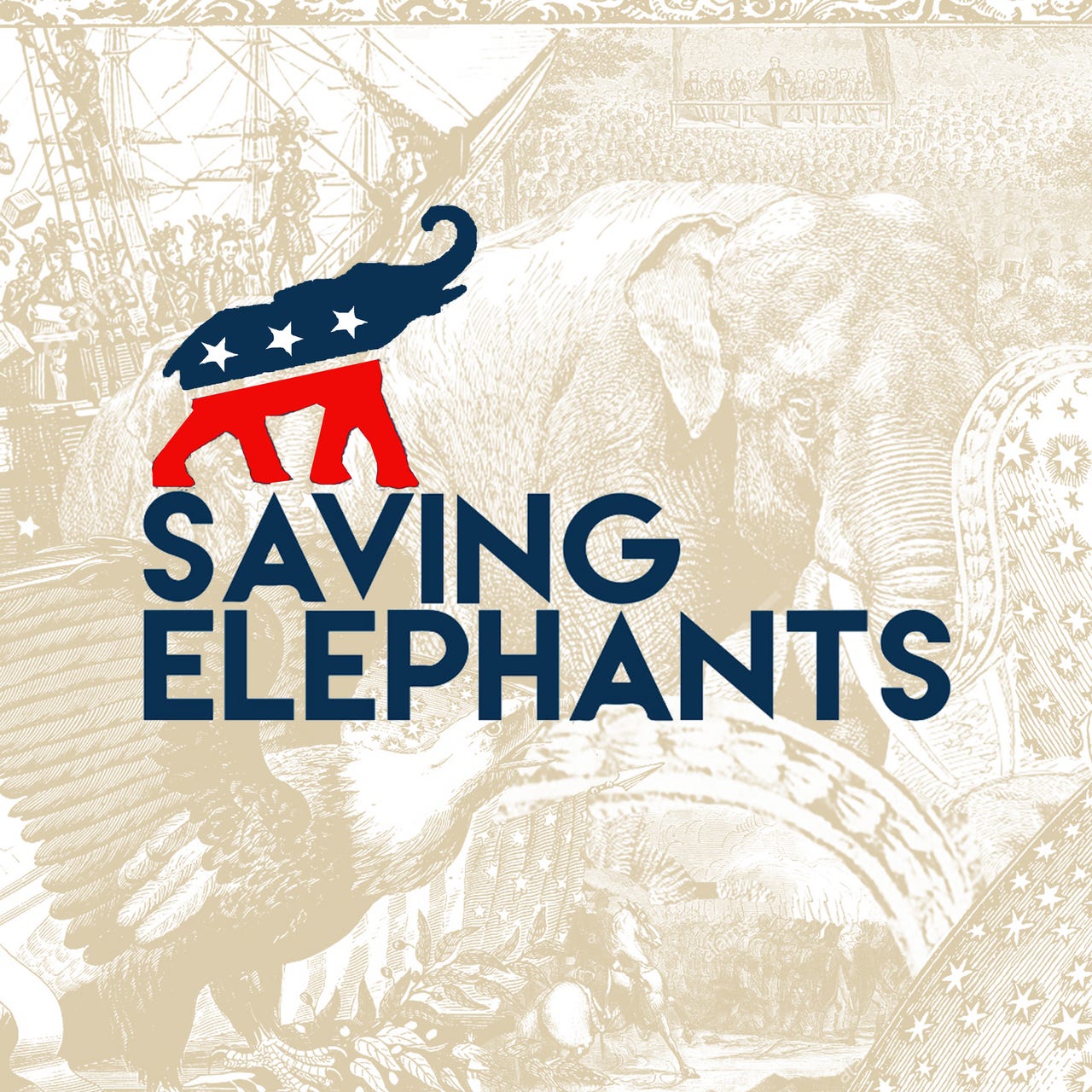 Saving Elephants