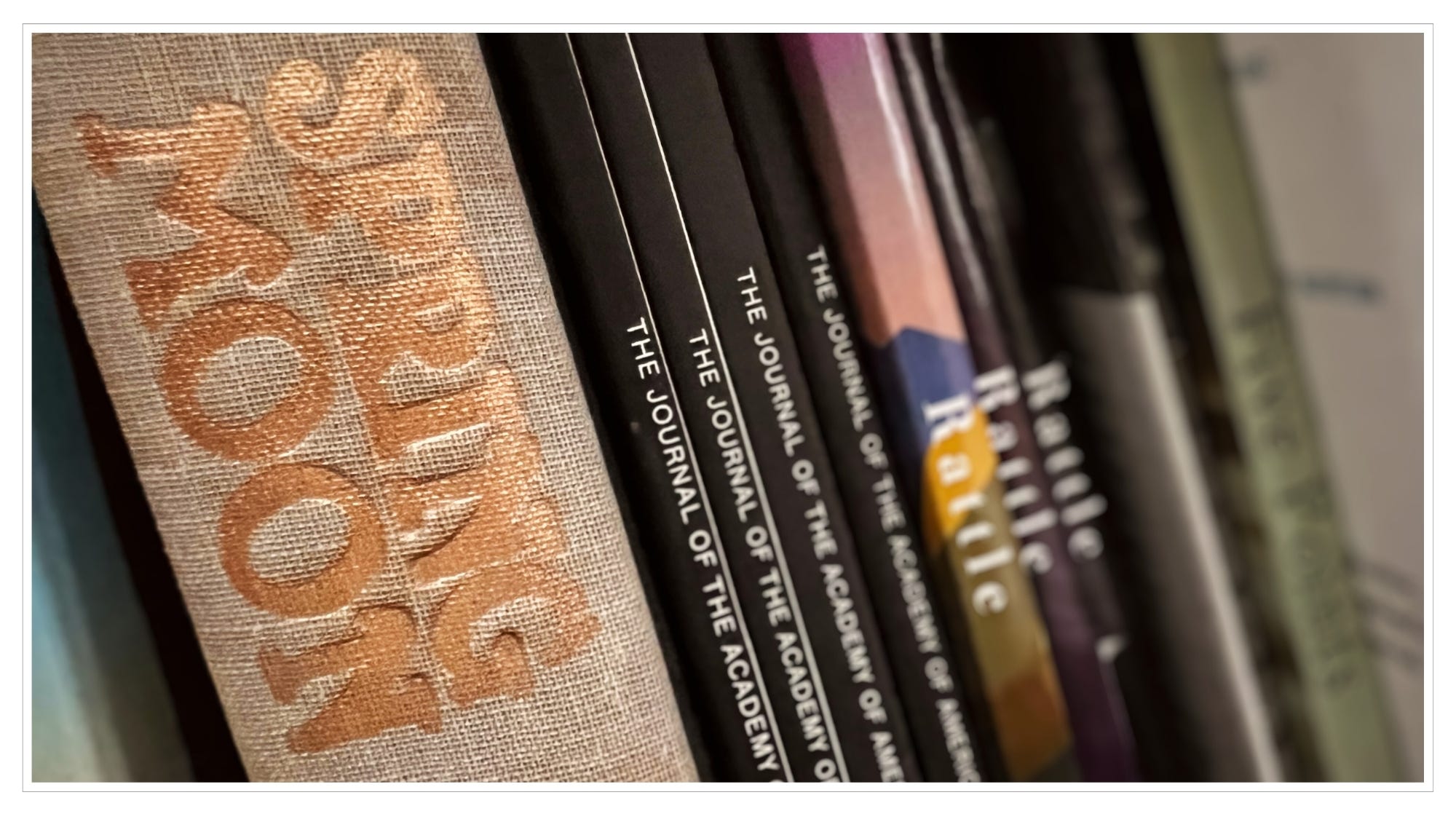 close-up of books standing