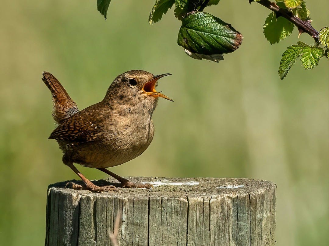 Les 7 Bonnes Nouvelles du Mardi 27 Janvier 2026