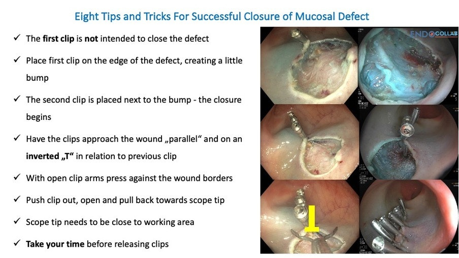 image.jpeg image.jpeg