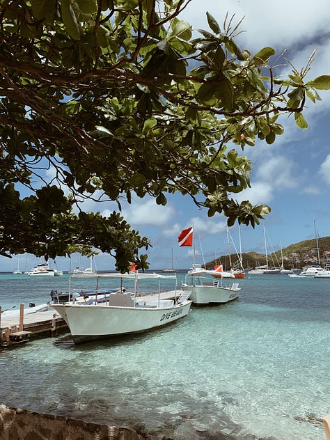 Dive Bequia | Aboard with Dwight | The Liming