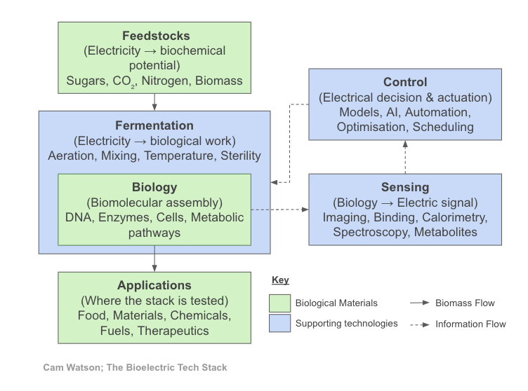 The Bioelectric Tech Stack - by Cam Watson - Decoding Bio