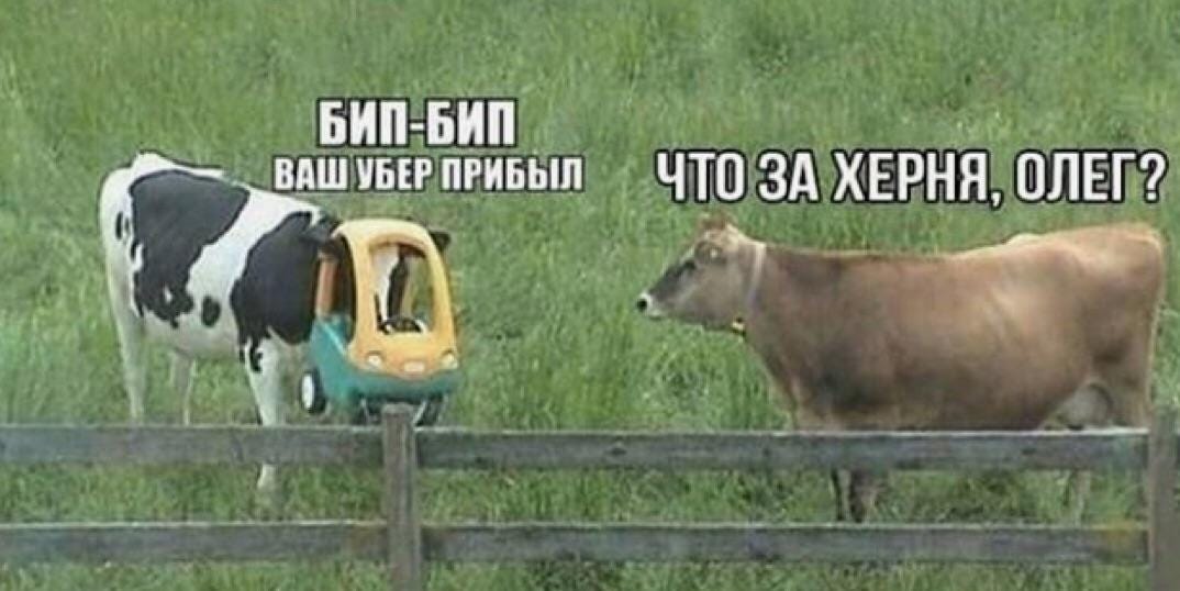 Russian>English] Please translate this meme for me. :( Thank you! :  r/translator