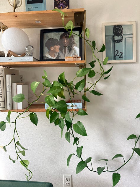 Three photos of various thriving potted plants, including a cactus with a hot pink cowboy hat on its head. Photos of Andrea amidst the plants, an altar.